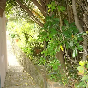 Sunflower Cosy - Il Girasole Casa vacanze Monterosso al Mare